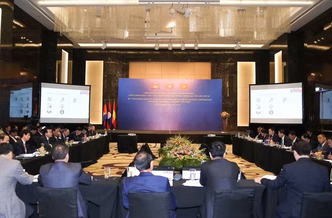 An overview of the meeting.