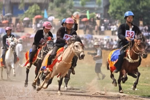 Horse race is always a highlight of Bac HA tourism culture week (Photo: VNA)