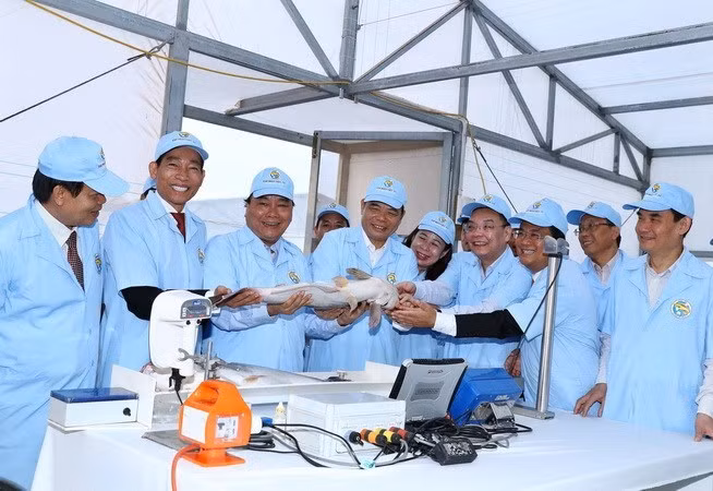 Prime Minister Nguyen Xuan Phuc (third from left) visited a high-tech tra fish farm in An Giang province on December 14 (Photo: VNA)