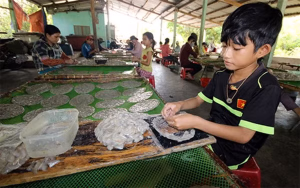 Nguyen Van Thien has worked at the local fish processing workshop for three summers to get more money for schooling. — Photo nongnghiep.vn