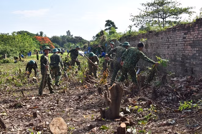 Police and military forces join hands to clean Hue Citadel ảnh 5