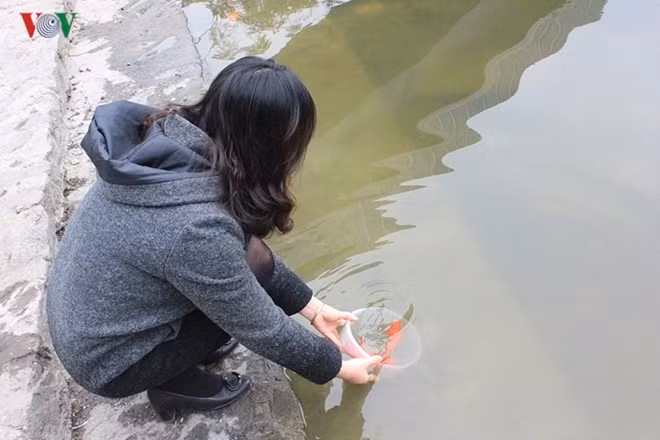 After the ritual, the carp are set free so they can carry the Kitchen Gods to Heaven and back. The carp represent prosperity and growth and can magically transform into dragons.