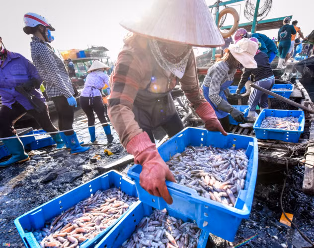 The most popular products are shrimp, crab, fish, and squid.