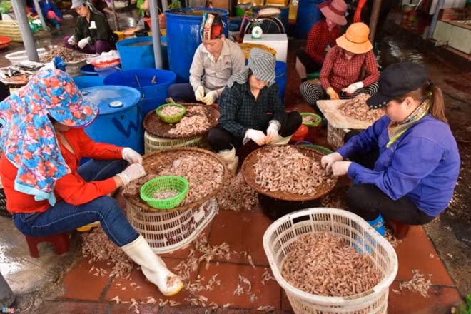 Customers can also find processed seafood with typical products such as processed shrimp and grilled chopped fish.