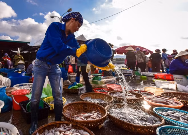 Retailers can buy from tens to hundreds of kilograms of seafood products.