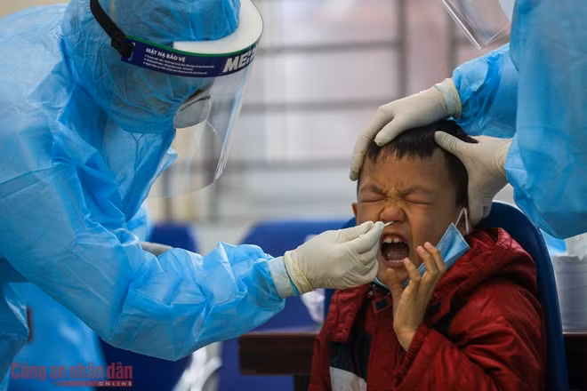A boy has his sample taken for COVID-19 testing. Collected samples would be transferred to the Hanoi Center for Disease Control. As of January 31's night, all 35 classmates of the third grader who got infected tested negative for the novel coronavirus once.