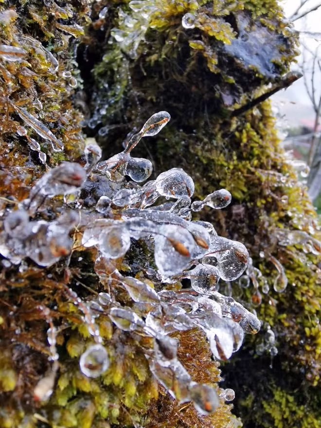 Vietnam typically encounters a tropical climate with annual average temperatures ranging from 22 to 27 degrees Celsius. But the northern highlands have received frost and snow every winter in recent years. Vietnam typically encounters a tropical climate with annual average temperatures ranging from 22 to 27 degrees Celsius. But the northern highlands have received frost and snow every winter in recent years.