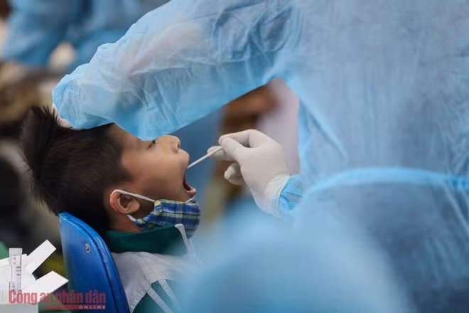 The virus has so far spread to 9 cities and provinces across the country, with 238 cases recorded in the last days, mostly in Hai Duong and Quang Ninh provinces, the country’s two biggest coronavirus hotspots.