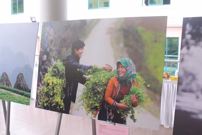 THE SIMPLE HAPPINESS Photo: Tran Thiet Dung The oilseed flower season in the Northwest. A couple are going home after a working day.