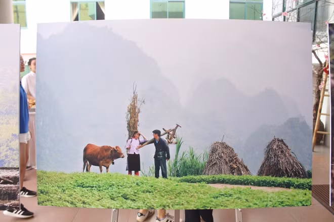 THE HAPPINESS Photo: Nguyen Huu Thong Happiness is simply the sharing of housework among family members. In so doing, family members can have more opportunities to understand each other, and easily show empathy and love with each other.