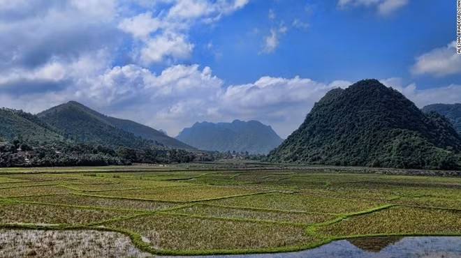 Phong Nha rice fields.