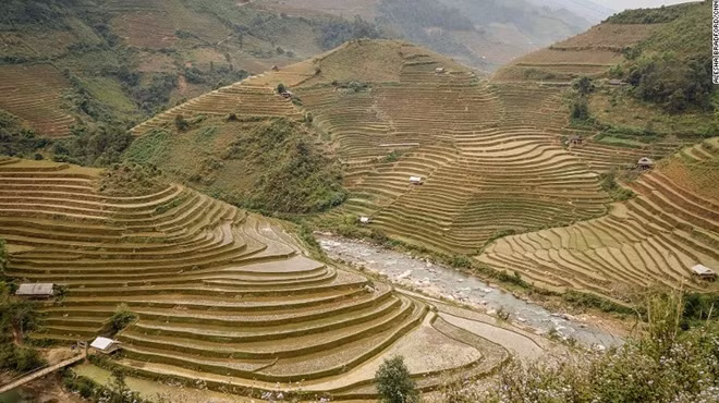 Than Yen rice terraces