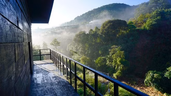 The wooden house nestled among pine trees on top of a small hill in Da Lat belongs to a man from Ho Chi Minh City who opened it to treat travel lovers like him. The New York Times in January named the Central Highlands resort town among the 52 places to go in 2016, calling it "a cool alternative to the usual steamy Vietnamese destination".