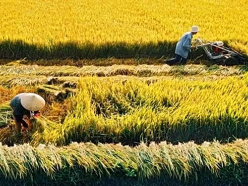 Illustrative image -- File photo