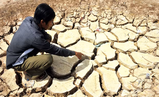 A ditch in the Mekong Delta province of Soc Trang has been parched for months due to the fierce drought. Photo by VnExpres/Cuu Long