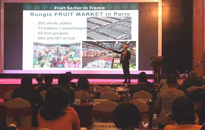 Representatives participated in the Seminar