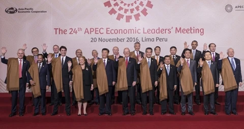 APEC to foster multilateral trade network: President Quang at 24th High ...