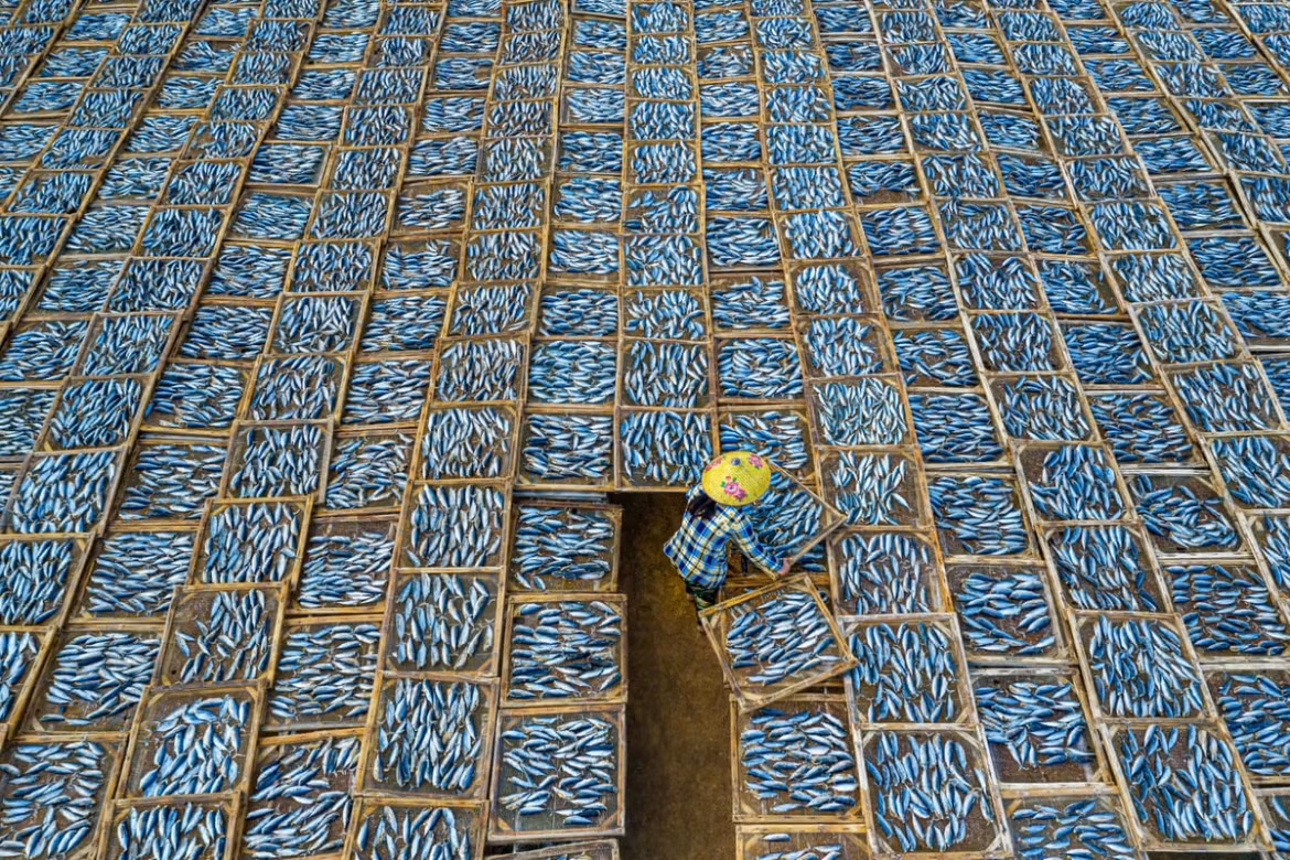 A photograph captured by a local photographer themed “Drying Fish” features a lone woman surrounded by hundreds of trays containing drying fish in the Long Hai fish market in the southern province of Ba Ria-Vung Tau. With the image taken from above, the pattern of the fish on the trays resembles a large piece of fabric that the woman has seemingly put together.