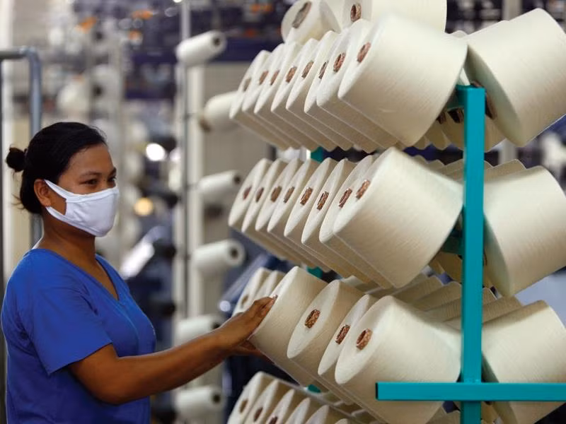 &nbsp;The fibre industry achieved an export turnover of US$5.5 billion for the first time in 2021 (Photo:baodautu.vn)