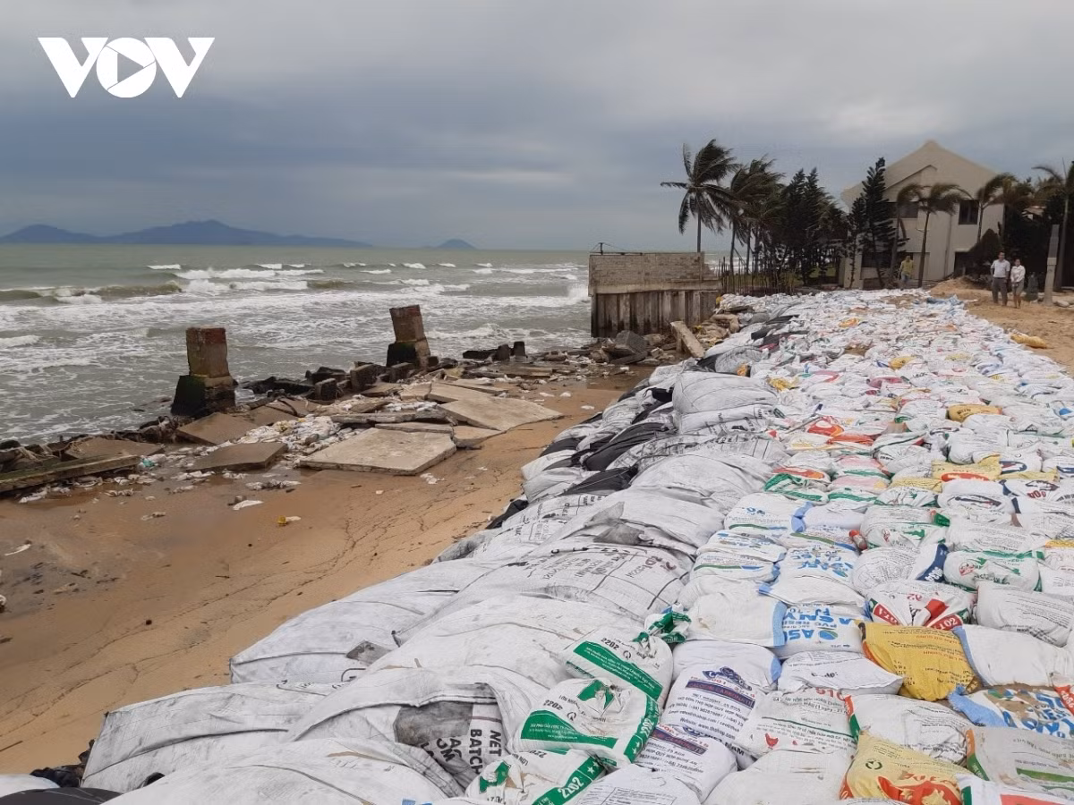 Emergency evacuation of over 571,740 people in response to typhoon Molave ảnh 2