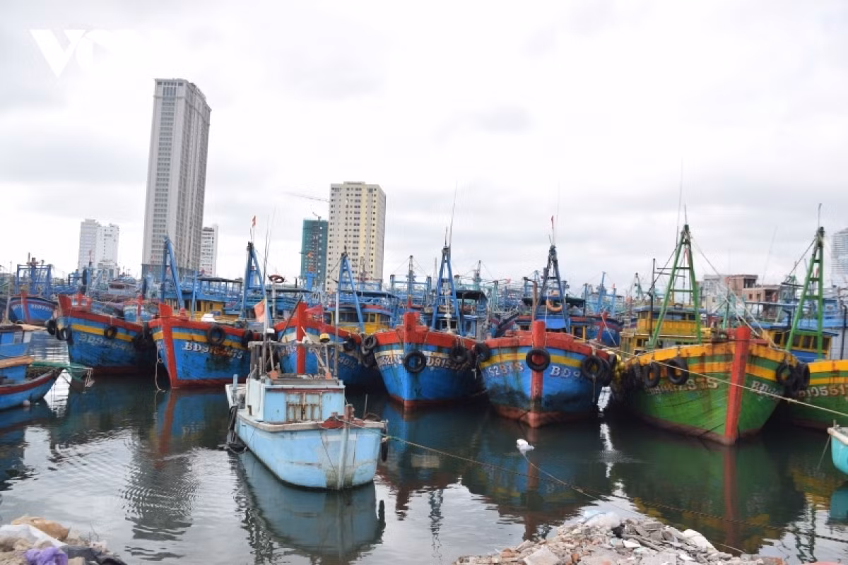At present, dozens of fishing vessels have been brought ashore in Khanh Hoa to escape Rai's danger areas.