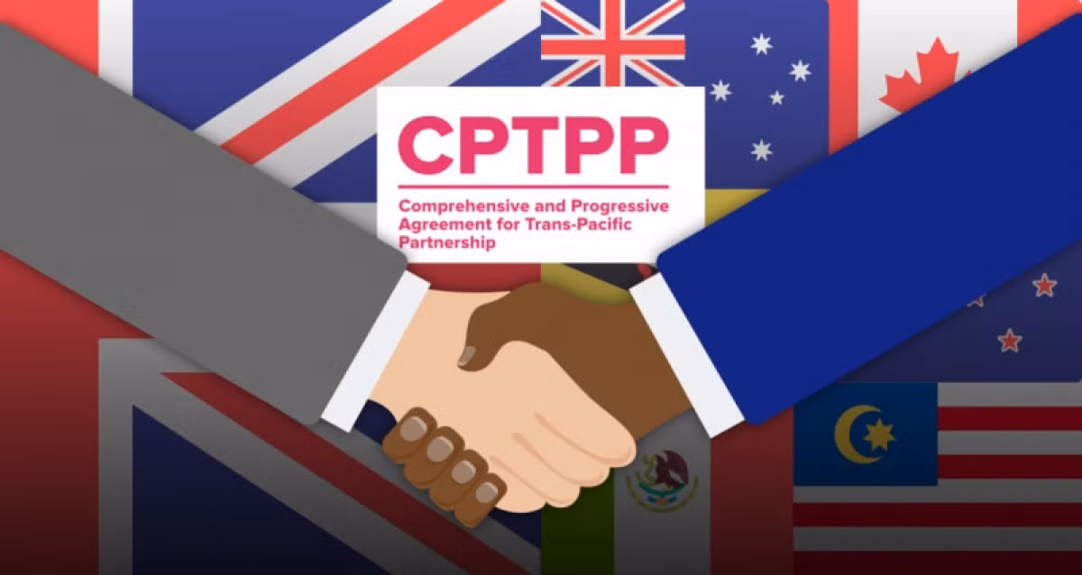 Vietnamese exports to CPTPP markets enjoy positive growth ảnh 1