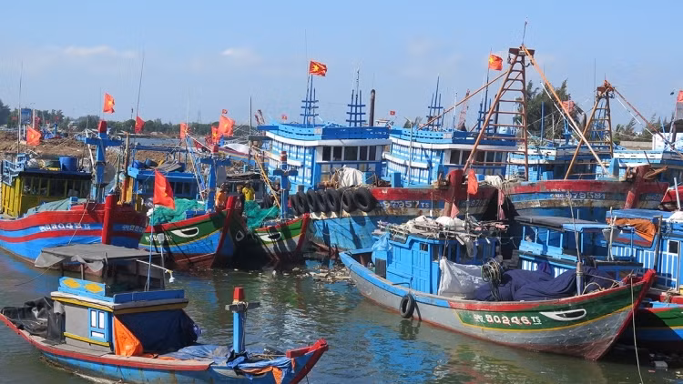 Greater efforts aim to remove Vietnam from IUU fishing warning ảnh 1