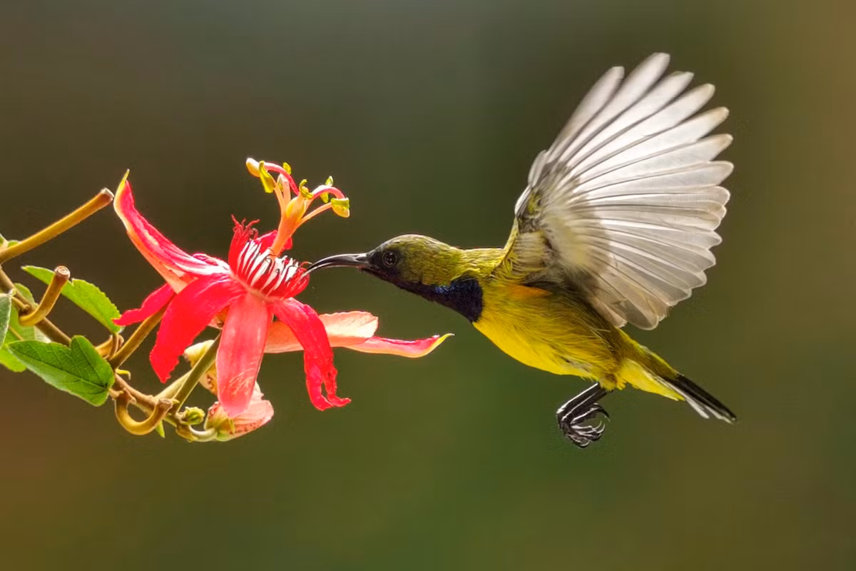Indonesian photographer Budi Gunawan is the winner of the Mobile, theme open, category.