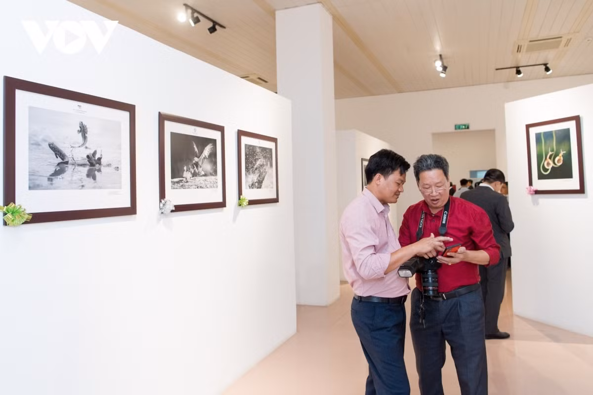 exhibition of winning pieces from 11th international photo contest opens picture 9