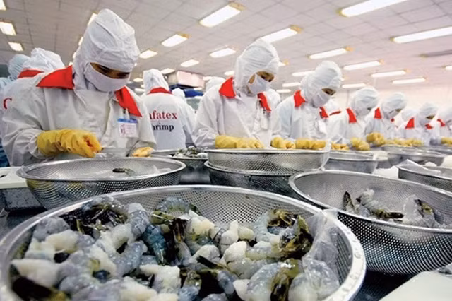 Vietnam becomes fifth largest seafood supplier to Japan ảnh 1