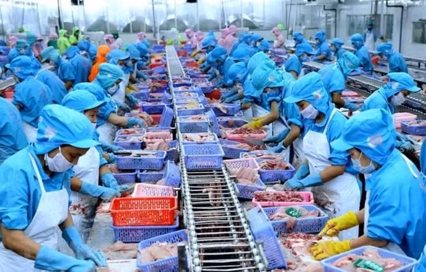 Fitch Ratings upgrades Vietnam’s outlook to “positive” ảnh 1
