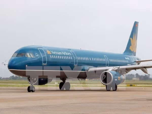 Vietnam Airlines loses VND10.75 trillion in nine months ảnh 1
