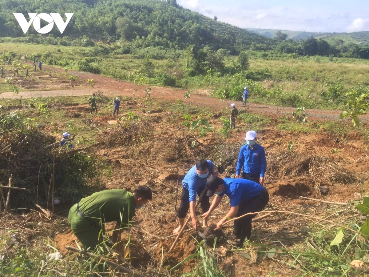 The administration of Dak Nong province holds a ceremony in Gia Nghia city on May 19 in order to call on local people to plant trees following Uncle Ho’s example. Roughly 51,000 trees are grown across the locality for this occasion.