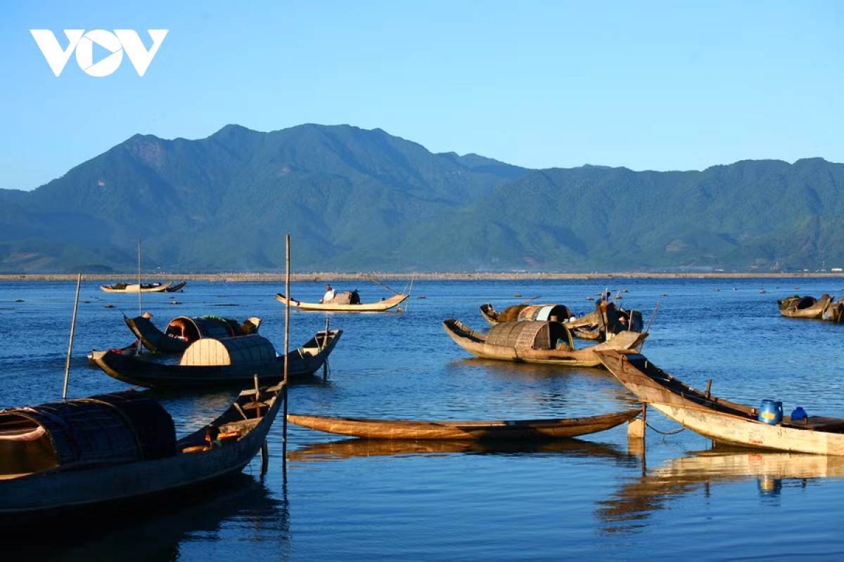 In this photo, small boats seek places to rest following a busy night.