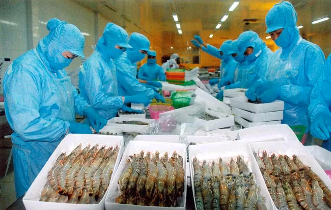 Vietnam becomes fourth largest seafood supplier to Japan ảnh 1