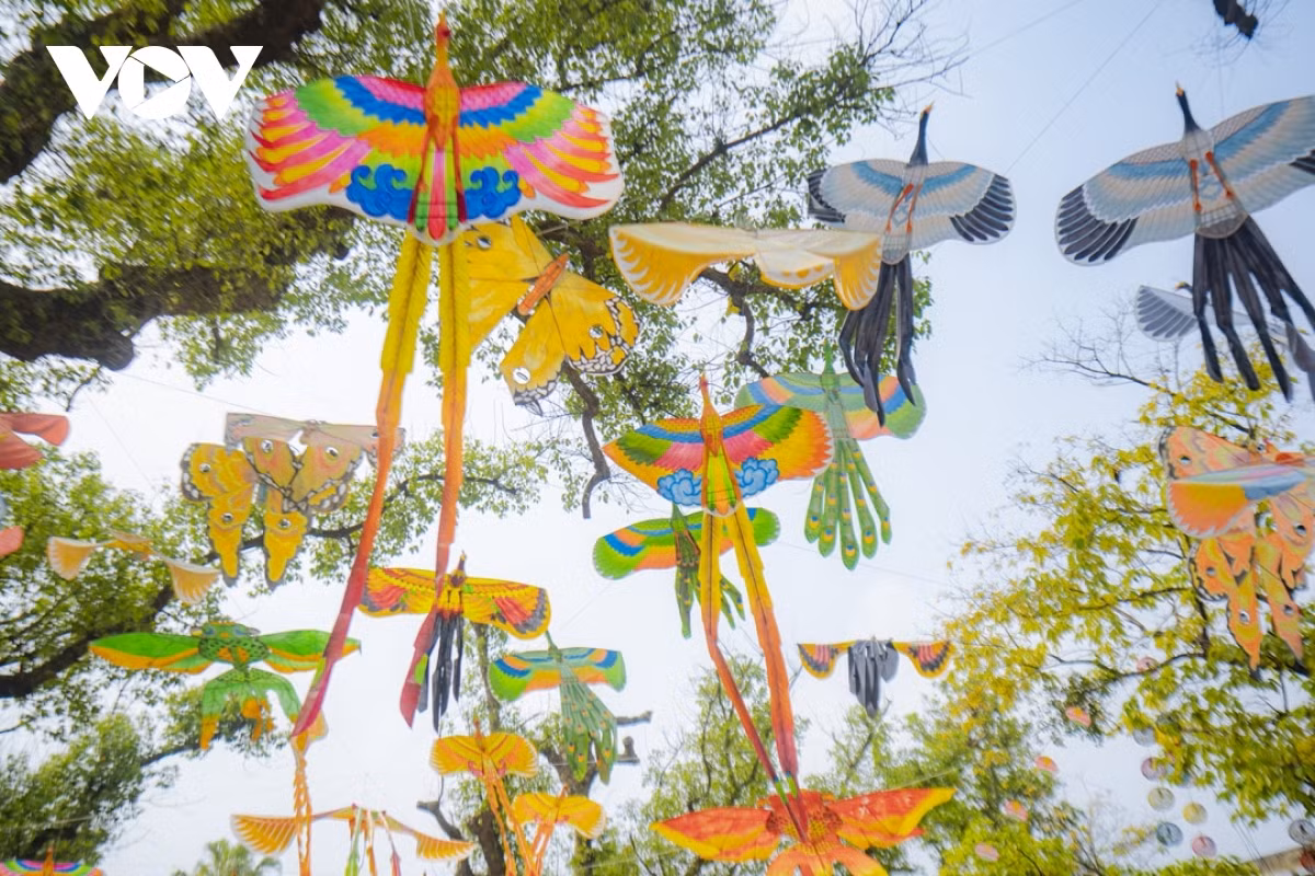 Kites flying high in the sky in central Vietnam ảnh 11 It will also help to diversify the range of tourism activities on offer for both domestic and foreign travelers visiting the city.