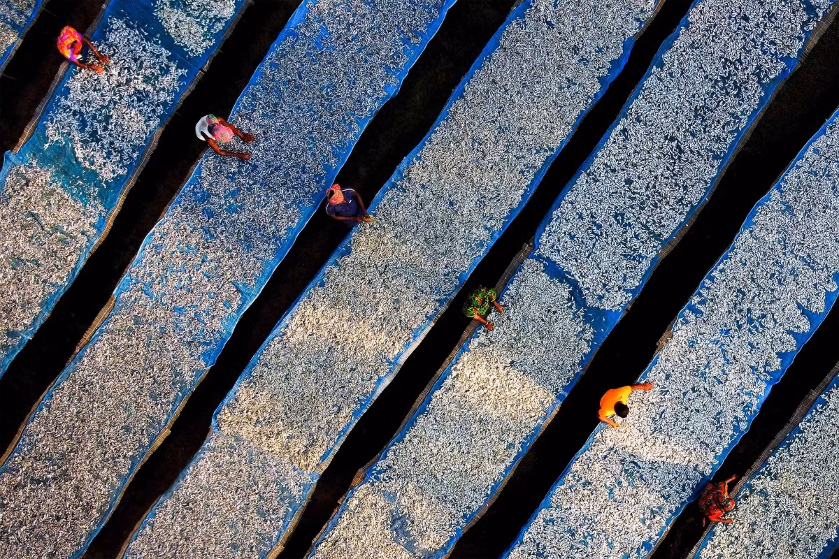 Bangladeshi photographer Ashraful Islam Shimul wins second runner-up spot in the Drone and Aerial category.