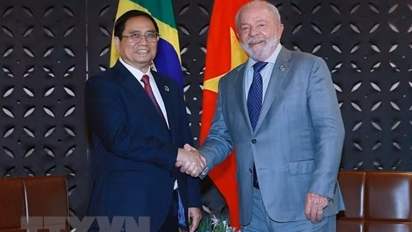 "Vietnam’s development orientation aligns with BRICS' strategic priorities" ảnh 6