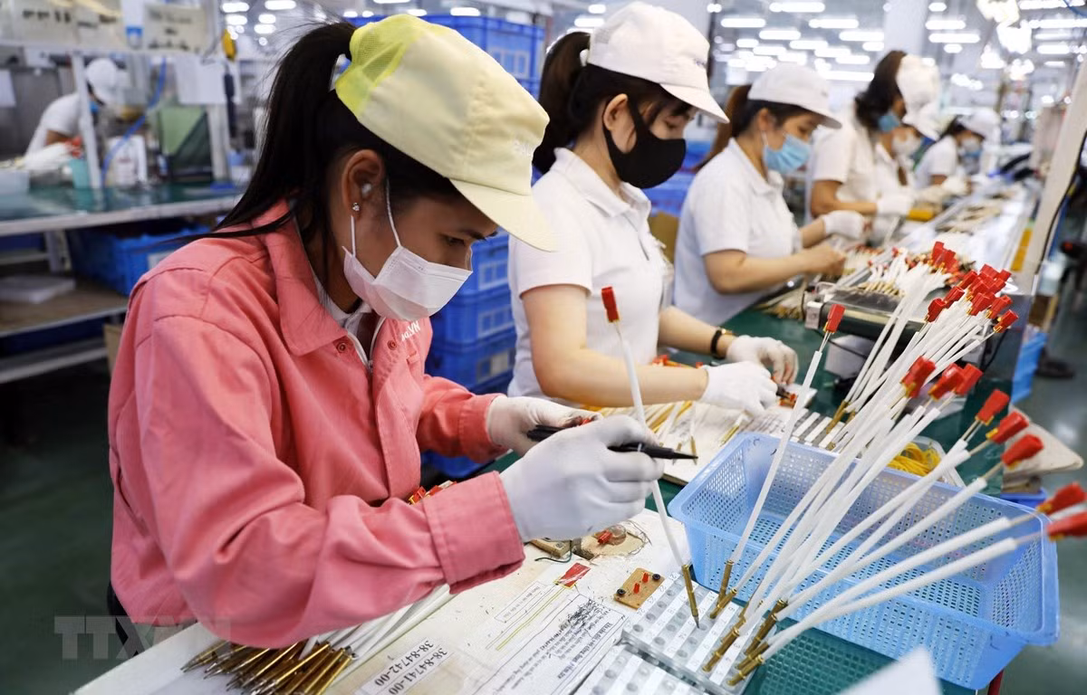 Criteria for Vietnamese business culture deployed in Mekong Delta region -0