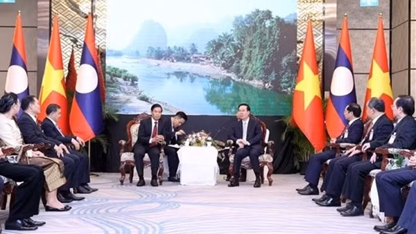 State leader meets youth exemplars in following President Ho’s teachings ảnh 2