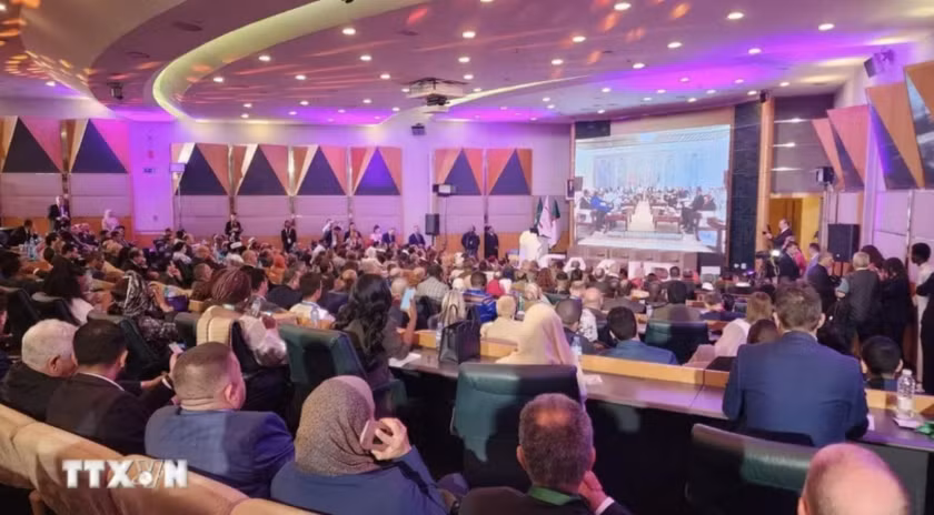 Vietnamese farm produce promoted at African investment, trade forum -0