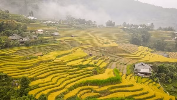 Weekend flea market features unique culture of Ha Giang ảnh 12