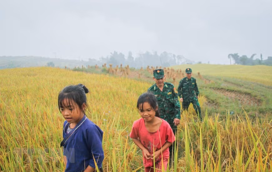 A glimpse of Ha Giang during golden rice season -7