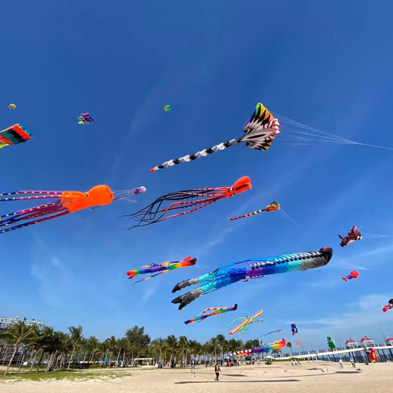 Quang Nam kite international festival 2024 attracts tourist to Hoian -0