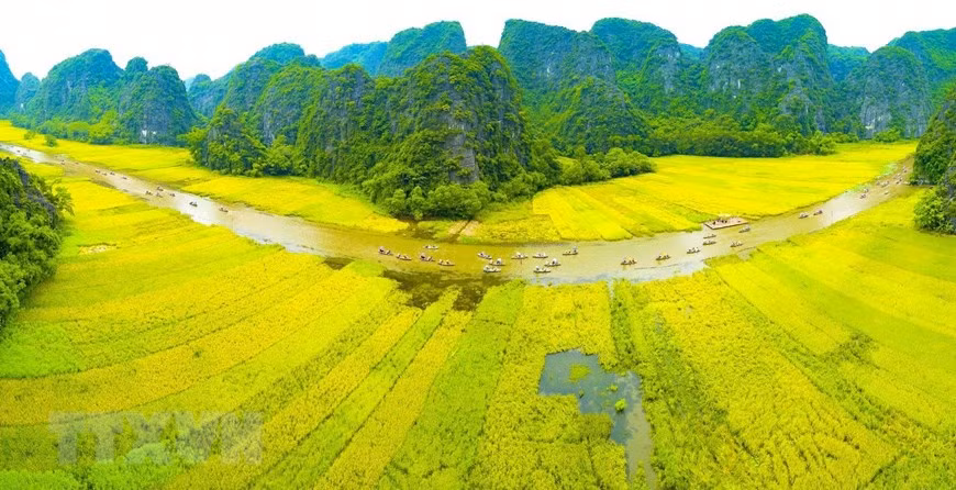 ttxvn_1303ninhbinh4.jpg -4