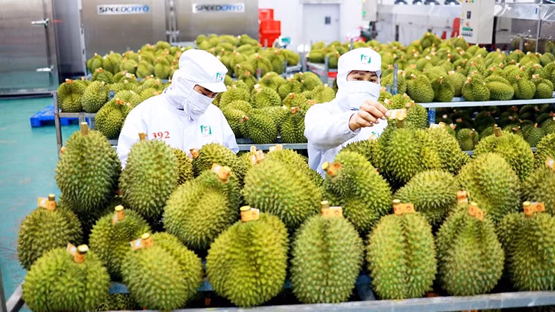 China remains top importer of Vietnam's goods -0
