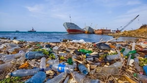 First Zero Plastic Waste Resort in Vietnam announced ảnh 3