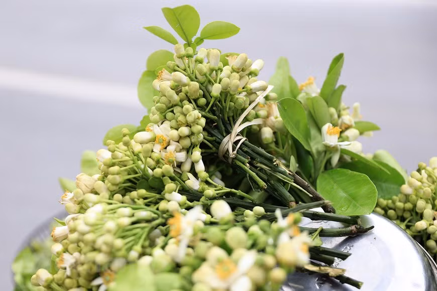 Hanoi filled with scent of grapefruit flowers -2