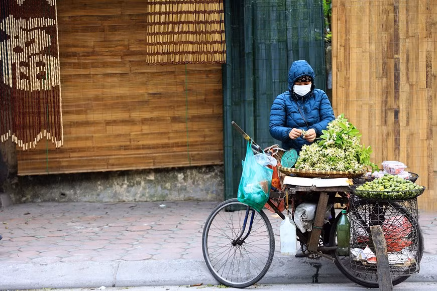 Hanoi filled with scent of grapefruit flowers -0