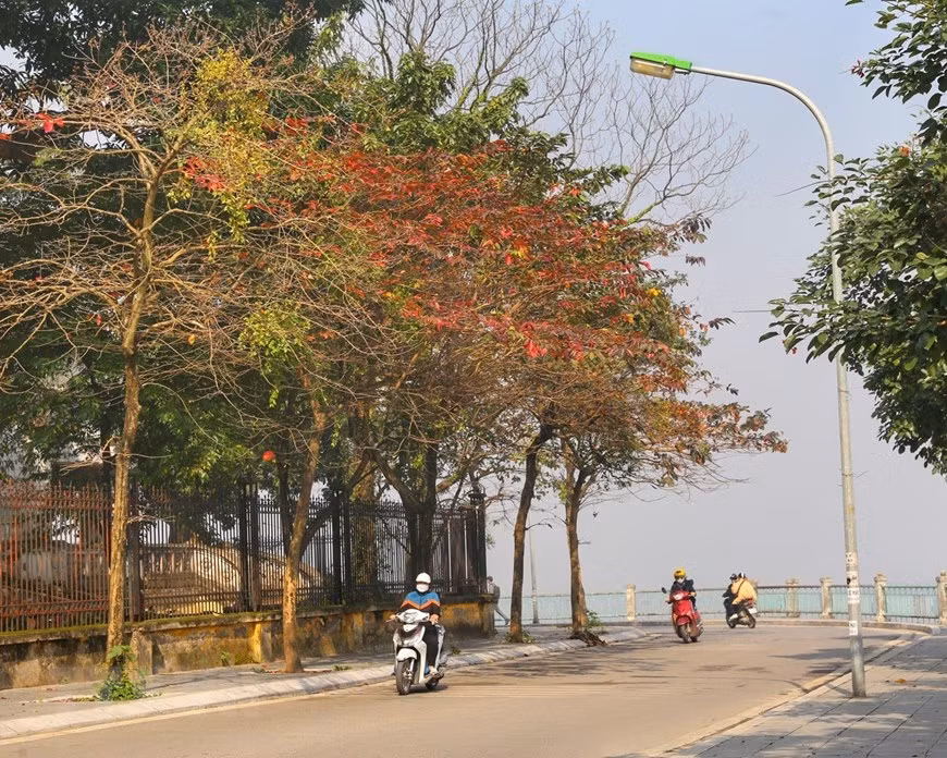 Poetic Hanoi in leaf falling season -0